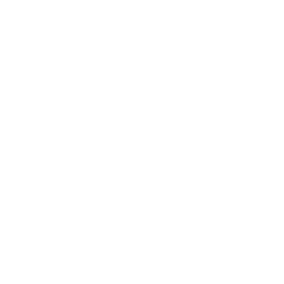 17+ Institutions